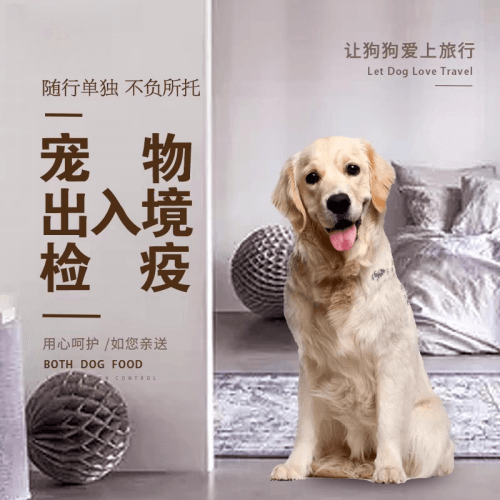 万州区宠物托运到哥伦比亚猫狗宠物入境规定和