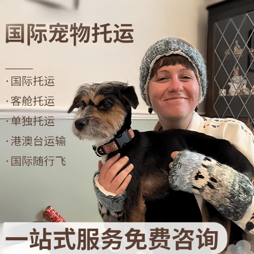 万州区国际宠物托运到阿根廷宠物入境规定和要