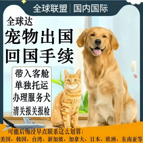 万州区宠物托运到柬埔寨宠物入境规定和要求
