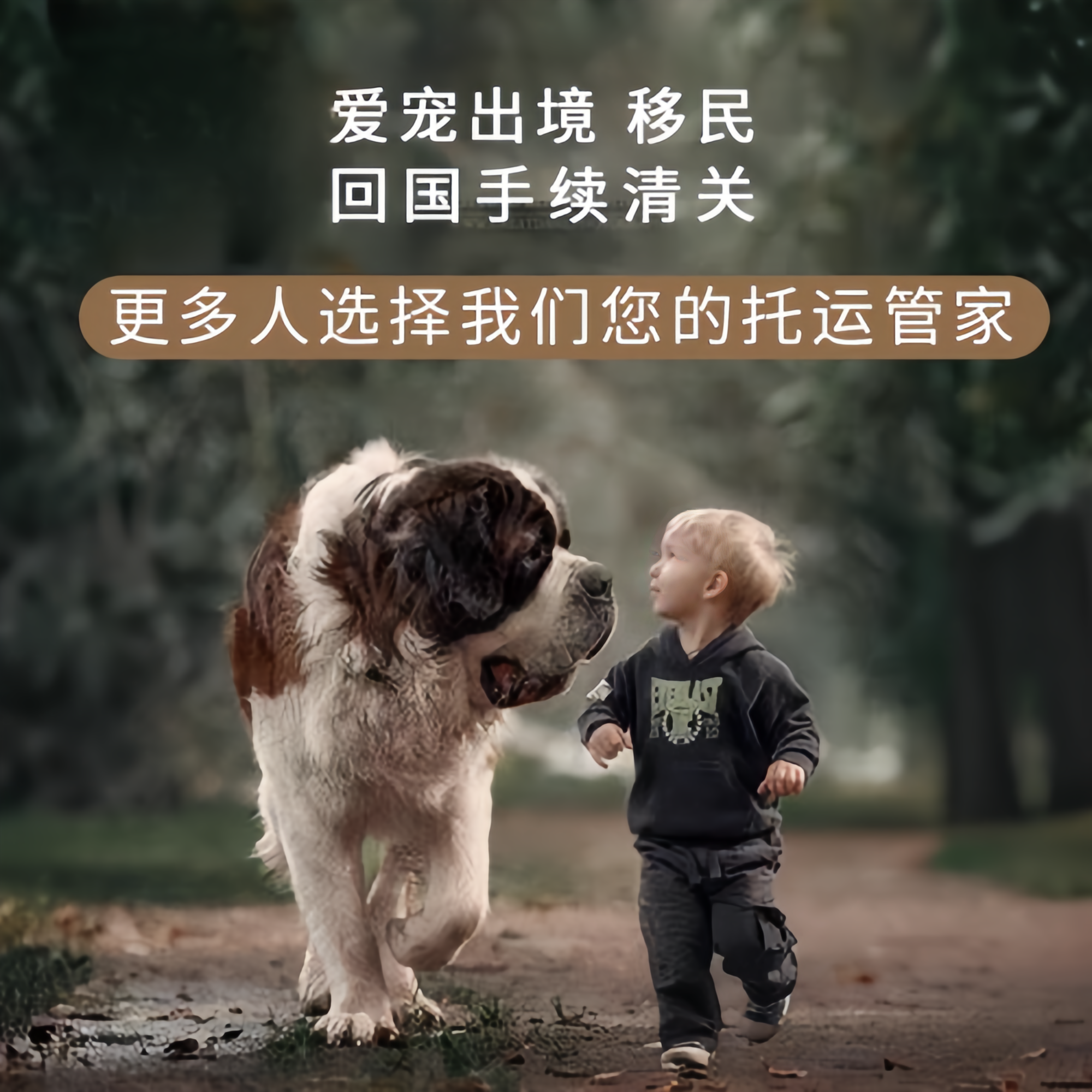 满财万州区宠物全球达宠物托运在遵守入境目的地政策的条件